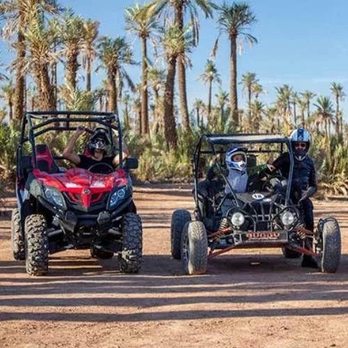 buggy-2