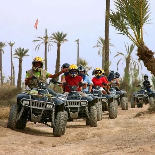 quad-1